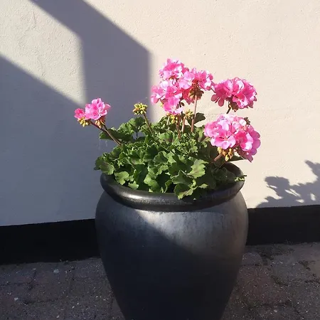 Hune Hotel Blokhus